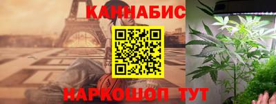 индика Тара
