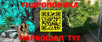 индика Тара