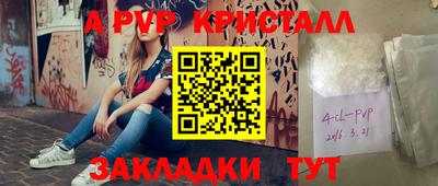 индика Тара