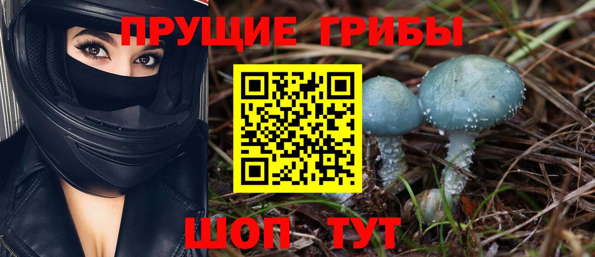 Азов  Псилоцибиновые грибы MAGIC MUSHROOMS  Вход с VPN 